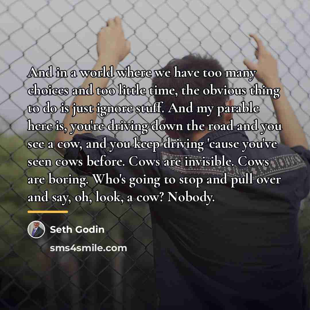 “And in a world where we have too many choices…” quote by Seth Godin