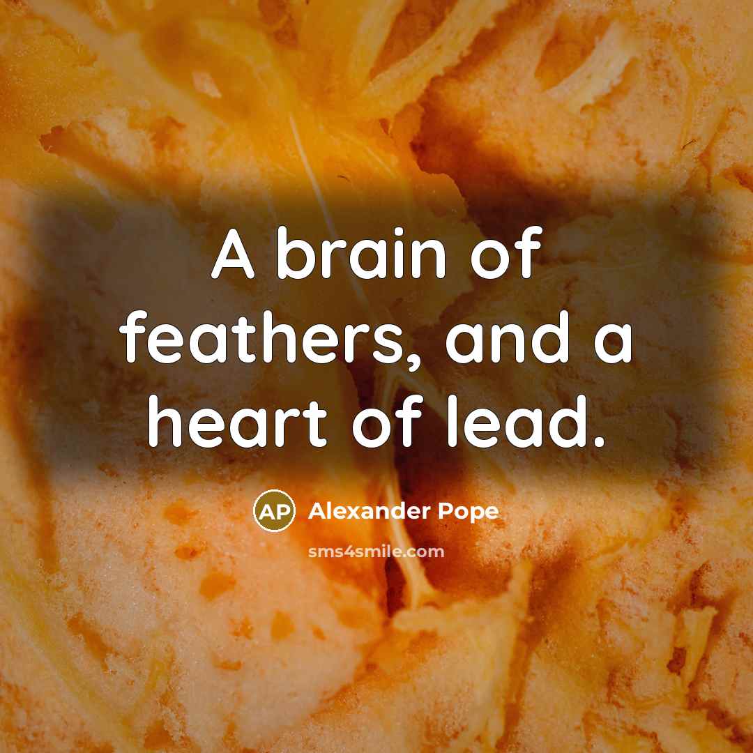 “A brain of feathers, and a heart of lead.…” quote by Alexander Pope