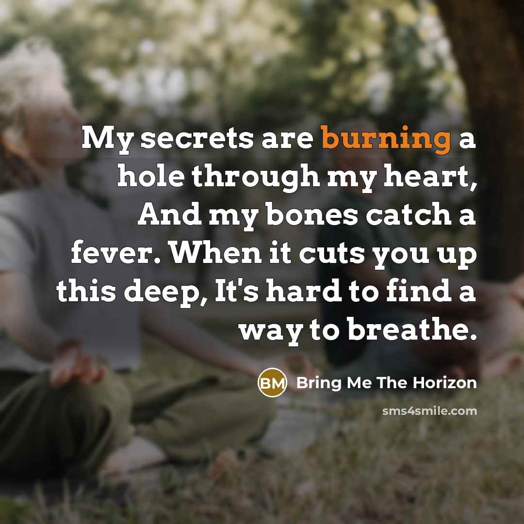 “My secrets are burning a hole through my heart, And my bones catch a fever. When it cuts you up this deep, It's hard to find a way to breathe.” quote by Bring Me The Horizon