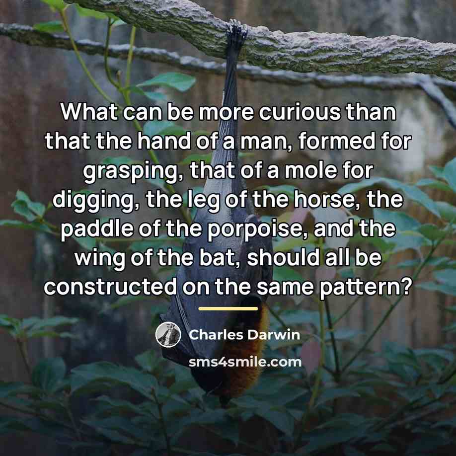 “What can be more curious than that the hand of…” quote by Charles Darwin