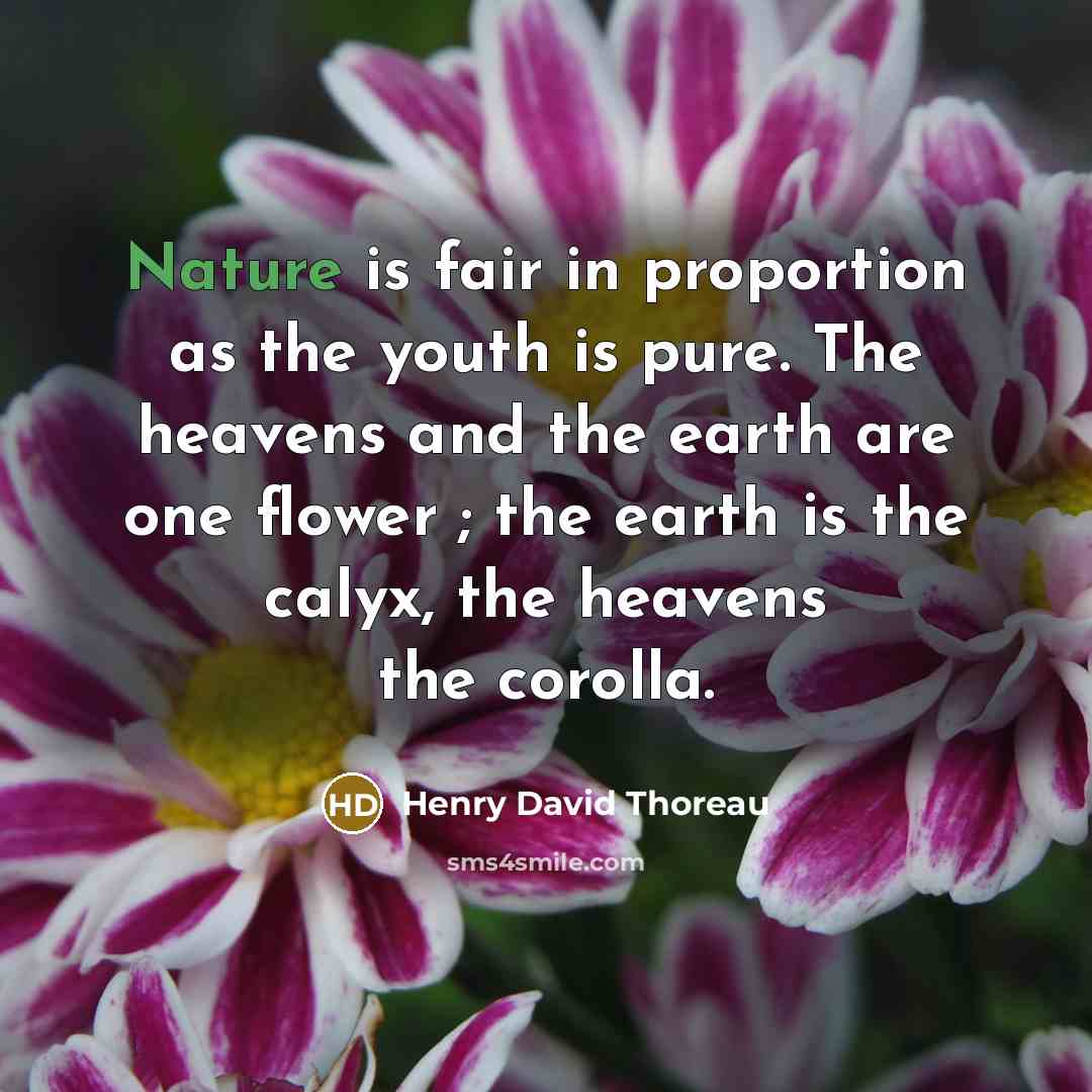 “Nature is fair in proportion as the youth is pure.…” quote by Henry David Thoreau