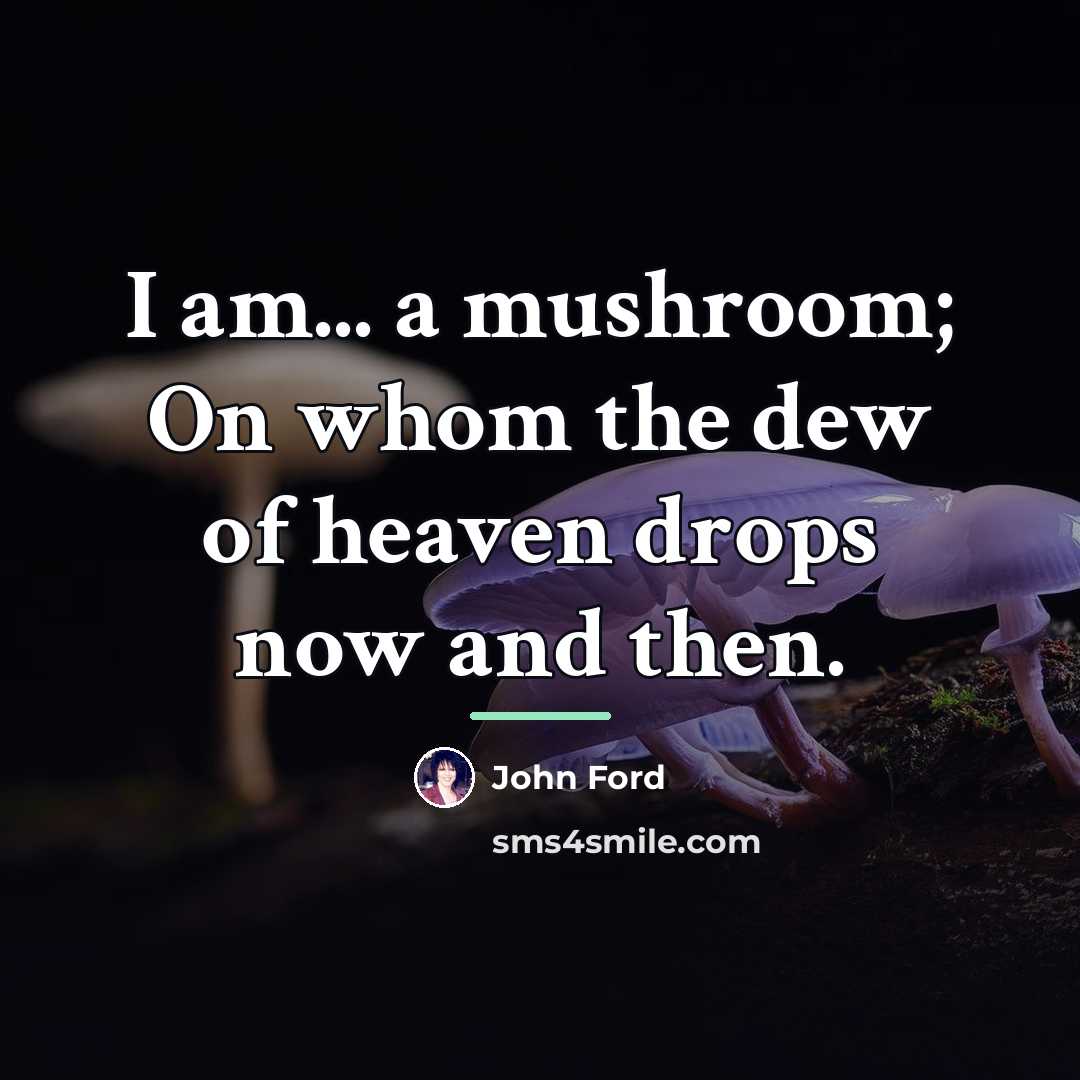 “I am... a mushroom; On whom the dew of heaven…” quote by John Ford