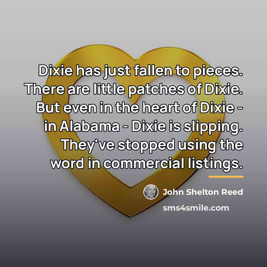 “Dixie has just fallen to pieces. There are little patches…” quote by John Shelton Reed