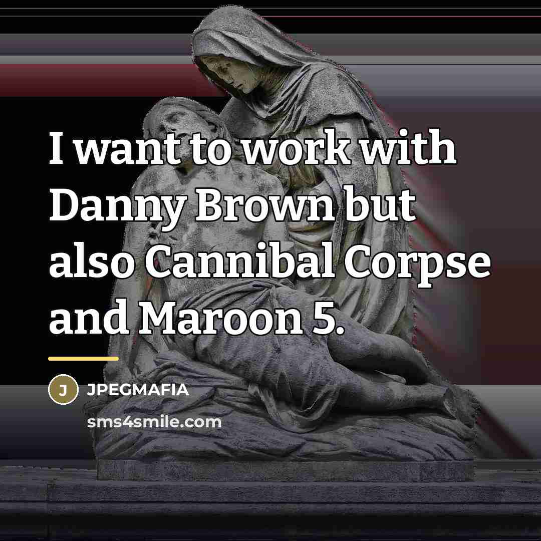 “I want to work with Danny Brown but also Cannibal…” quote by JPEGMAFIA