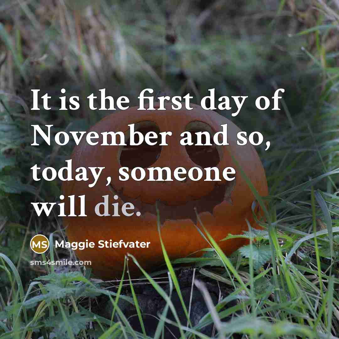 “It is the first day of November and so, today,…” quote by Maggie Stiefvater