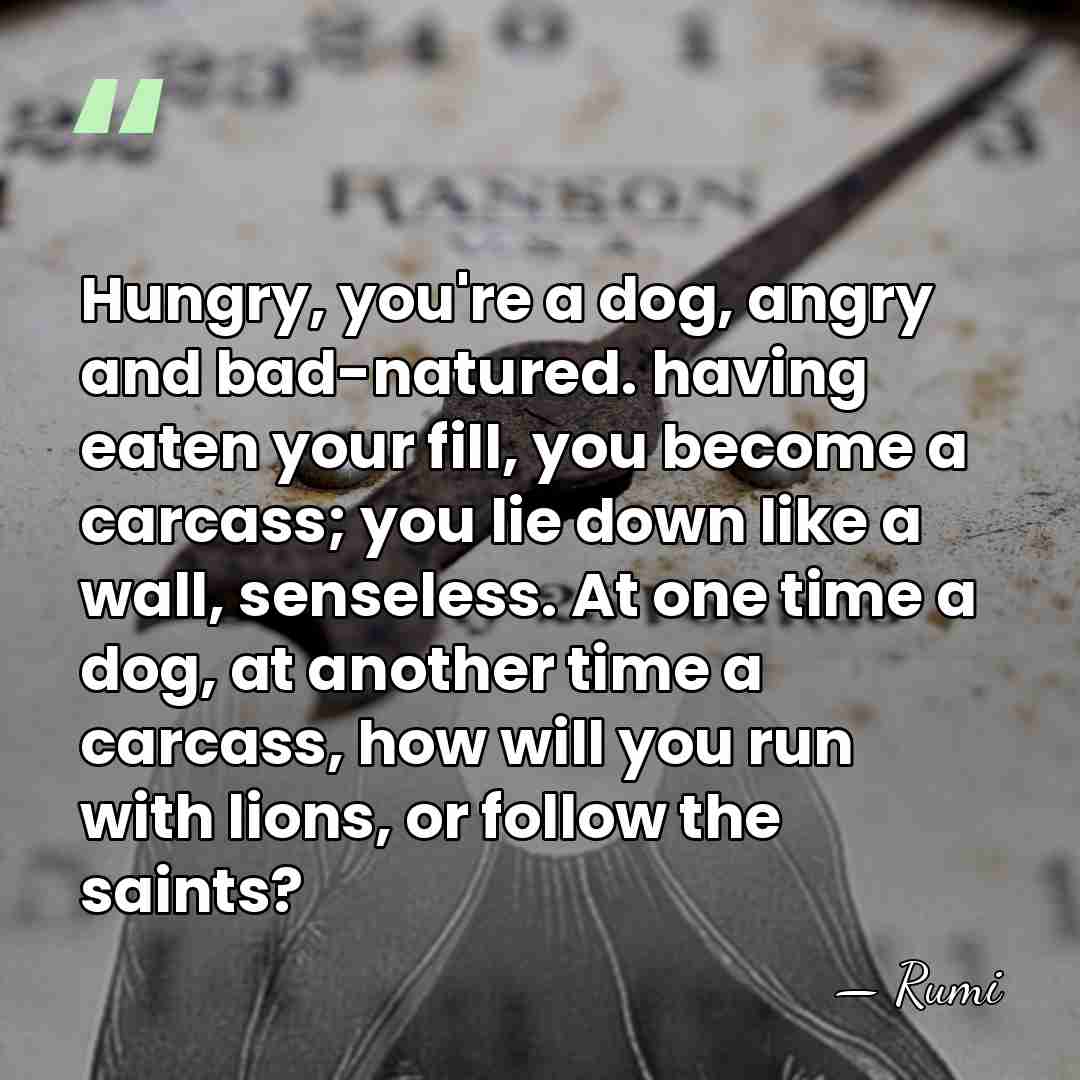 Hungry, you're a dog, angry and bad-natured. having eaten your fill, you&hellip; - Rumi
