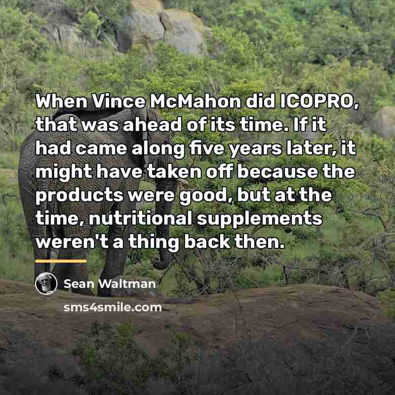 “When Vince McMahon did ICOPRO, that was ahead of its…” quote by Sean Waltman