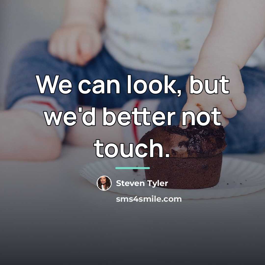 “We can look, but we'd better not touch.…” quote by Steven Tyler
