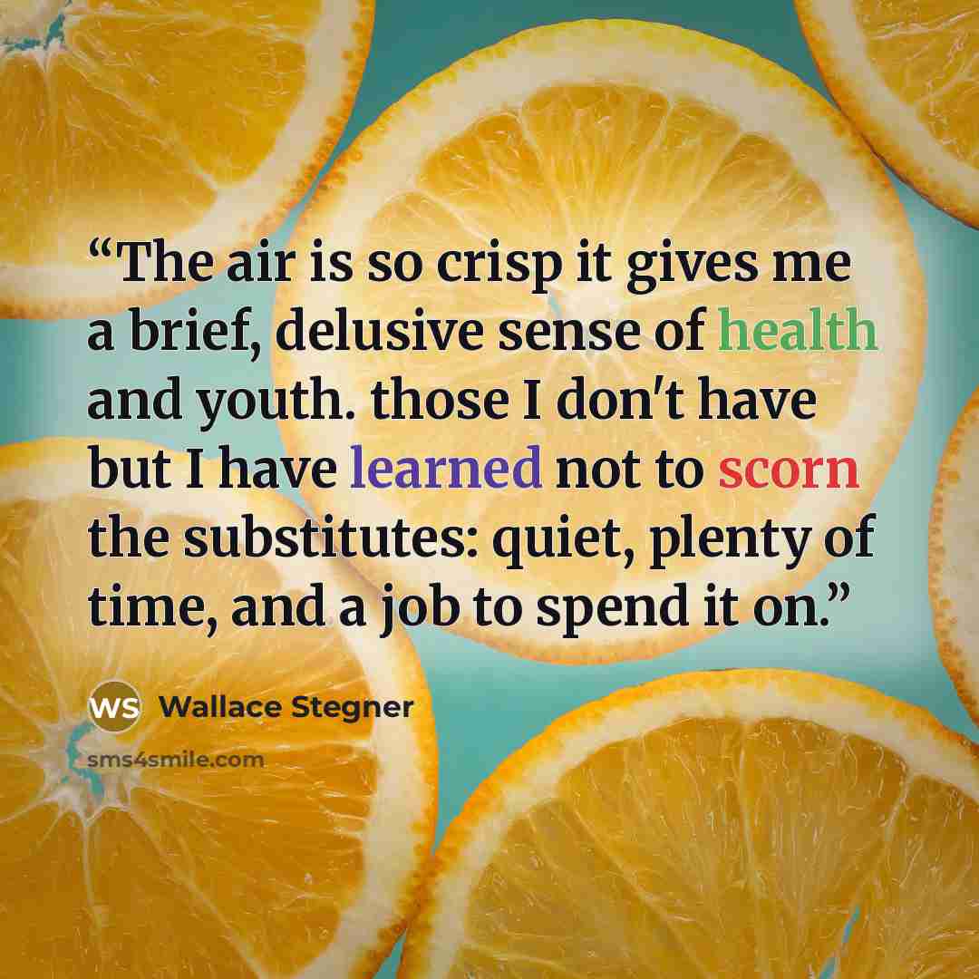 “The air is so crisp it gives me a brief, delusive sense of health and youth. those I don't have but I have learned not to scorn the substitutes: quiet, plenty of time, and a job to spend it on.” quote by Wallace Stegner