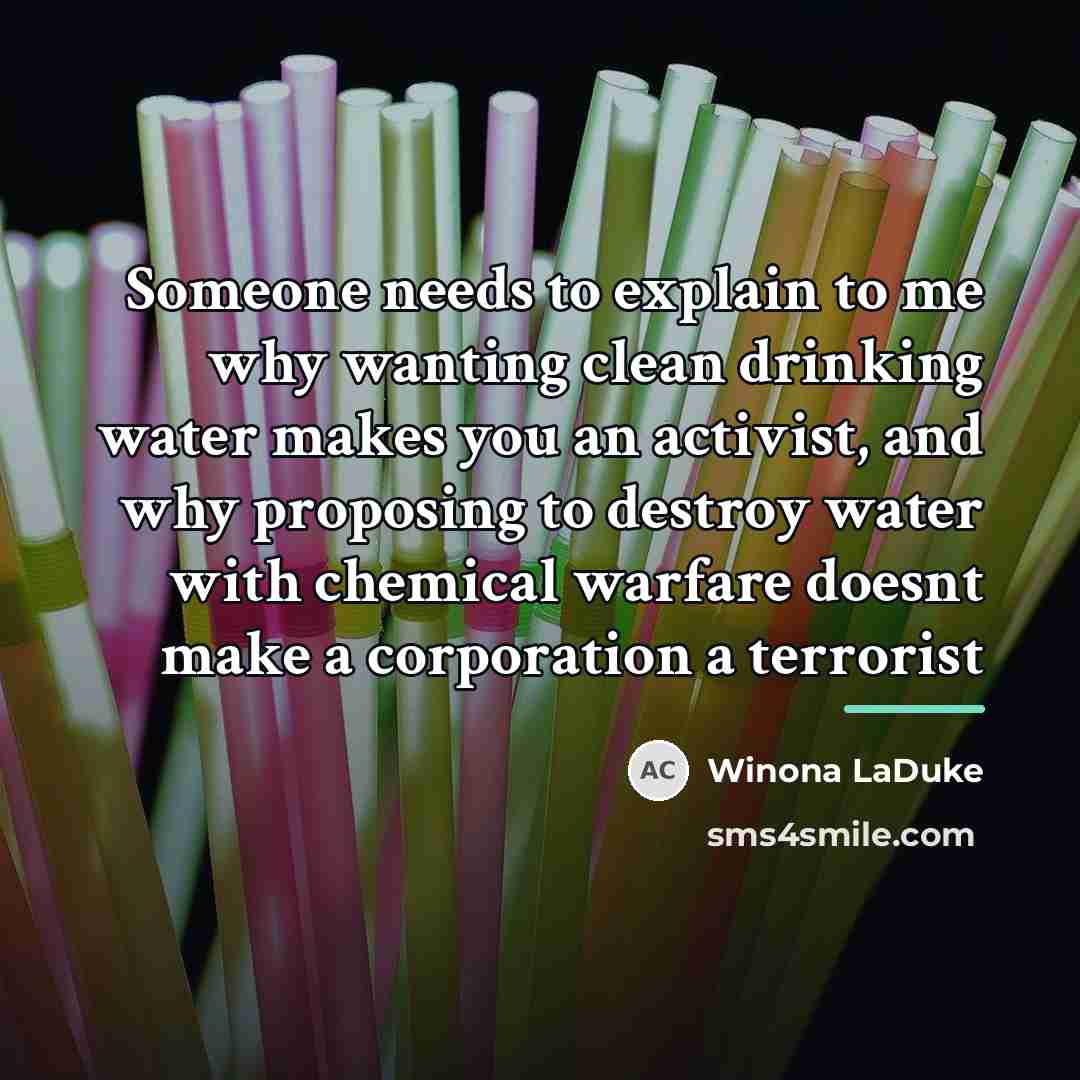 “Someone needs to explain to me why wanting clean drinking…” quote by Winona LaDuke