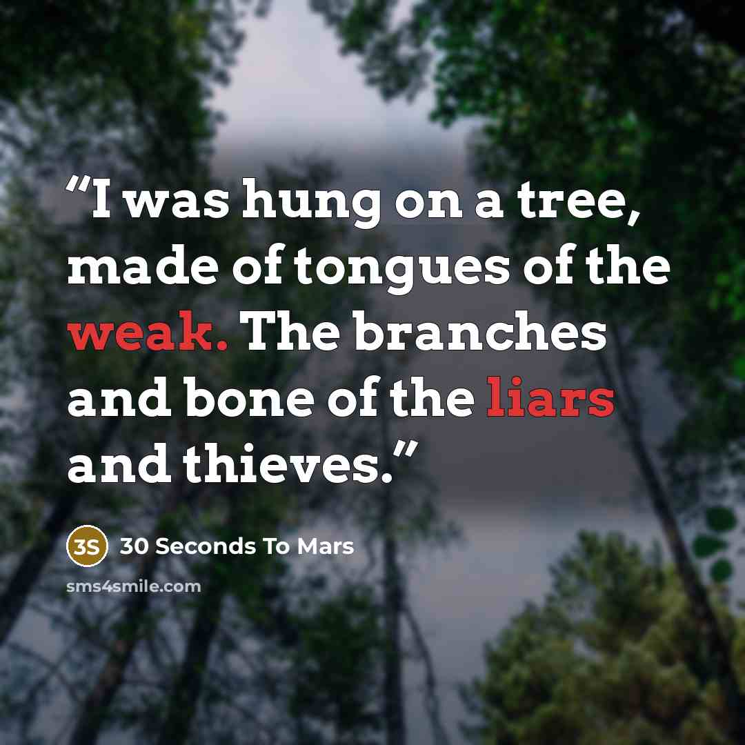 “I was hung on a tree, made of tongues of the weak. The branches and bone of the liars and thieves.” quote by 30 Seconds to Mars