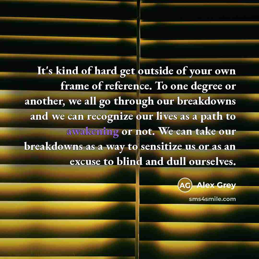 “It's kind of hard get outside of your own frame…” quote by Alex Grey