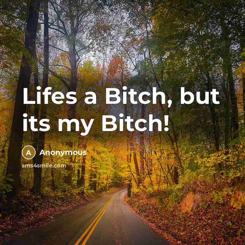 “Lifes a Bitch, but its my Bitch!…” quote by Anonymous