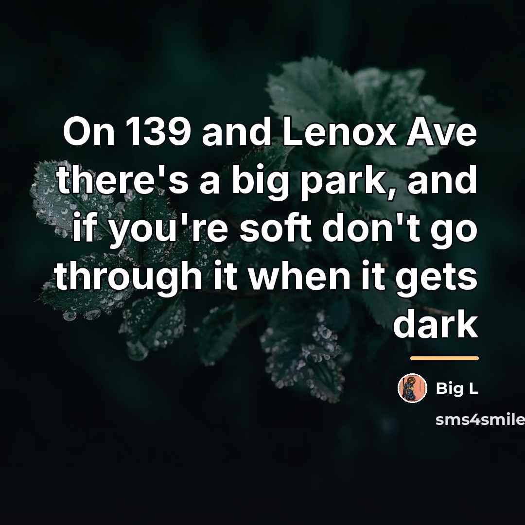 “On 139 and Lenox Ave there's a big park, and…” quote by Big L