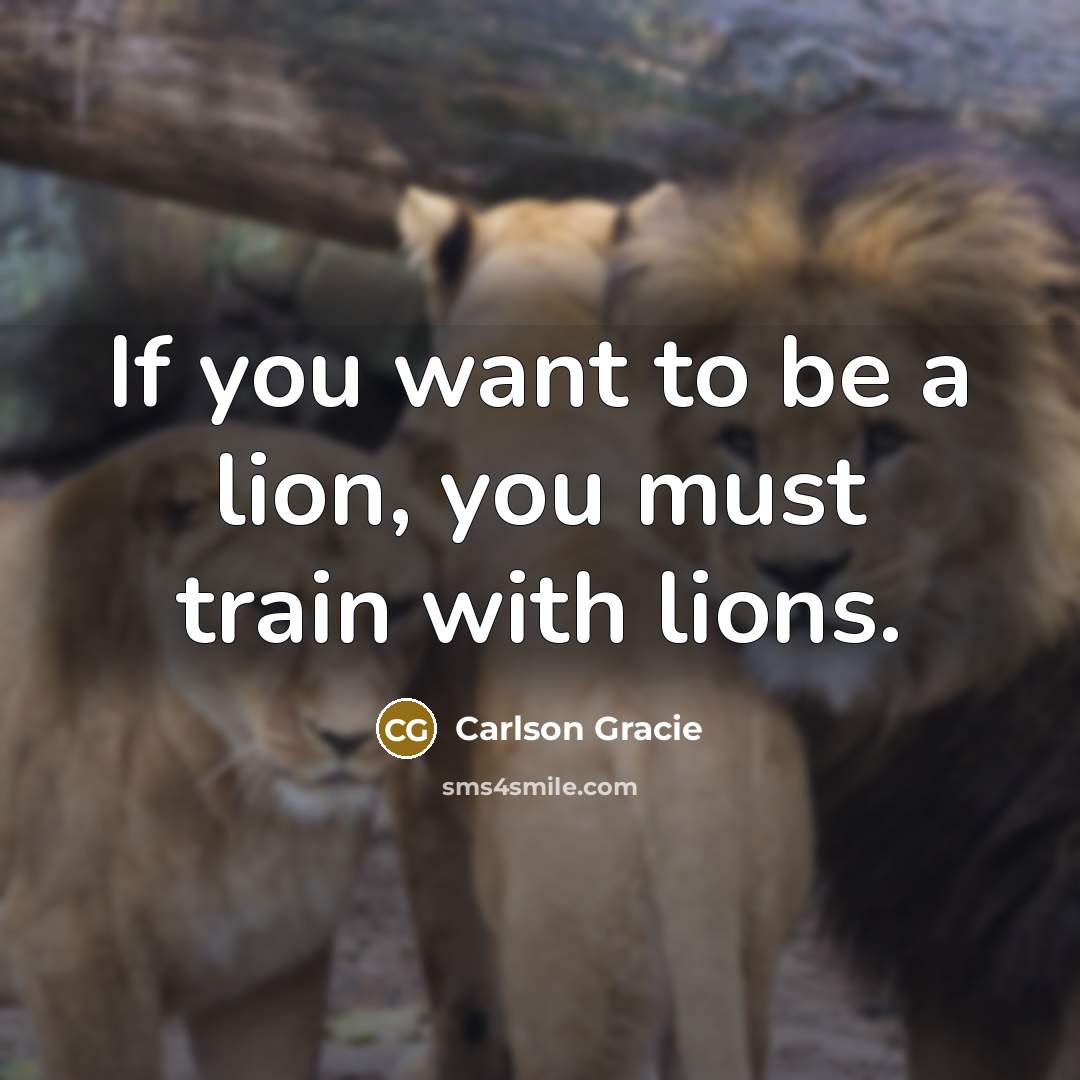 “If you want to be a lion, you must train…” quote by Carlson Gracie