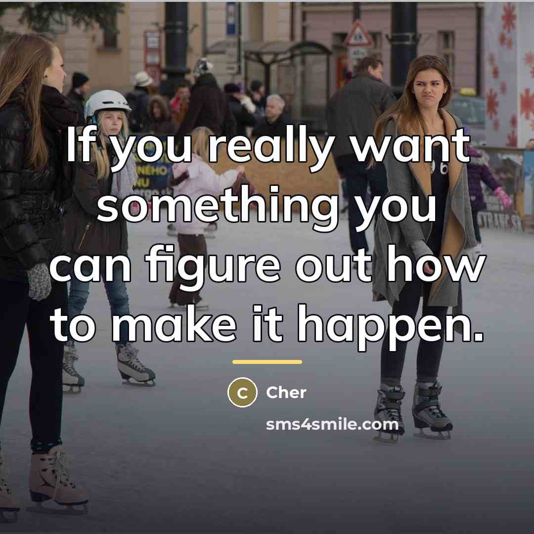 “If you really want something you can figure out how…” quote by Cher