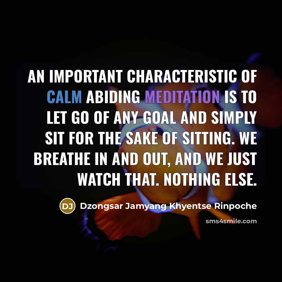 “An important characteristic of calm abiding meditation is to let…” quote by Dzongsar Jamyang Khyentse Rinpoche