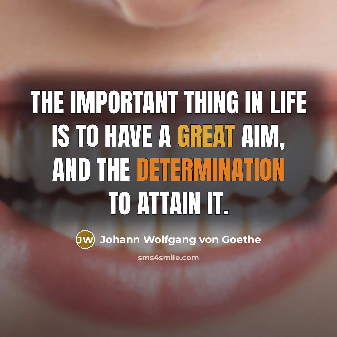 “The important thing in life is to have a great…” quote by Johann Wolfgang von Goethe