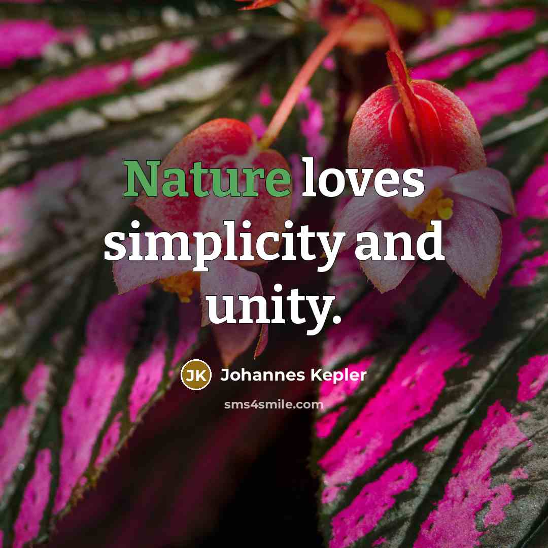“Nature loves simplicity and unity.…” quote by Johannes Kepler