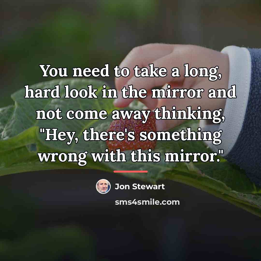 “You need to take a long, hard look in the…” quote by Jon Stewart