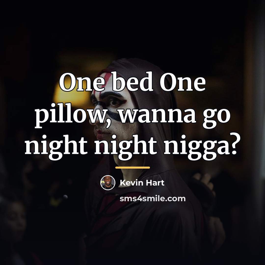 “One bed One pillow, wanna go night night nigga?…” quote by Kevin Hart