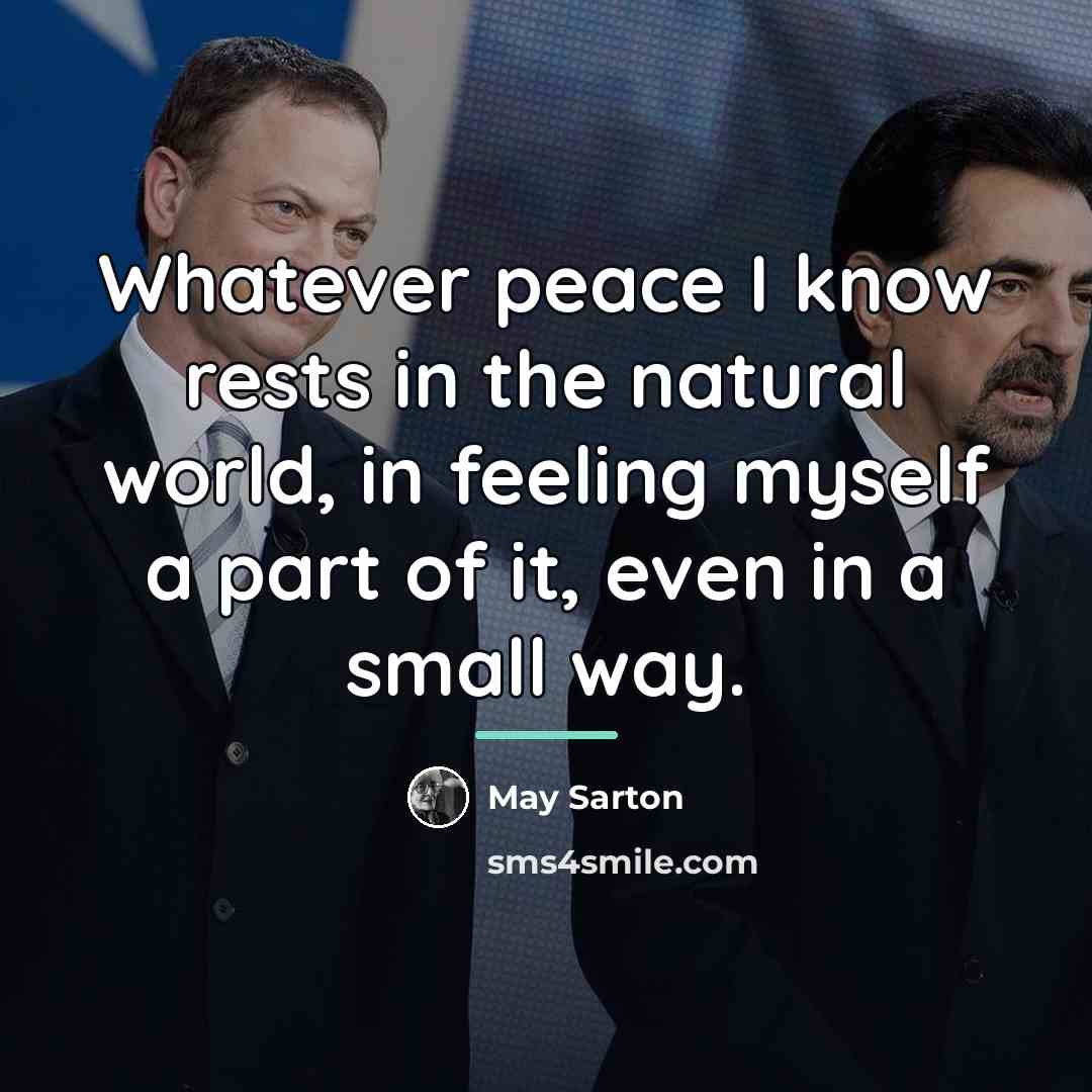 “Whatever peace I know rests in the natural world, in…” quote by May Sarton