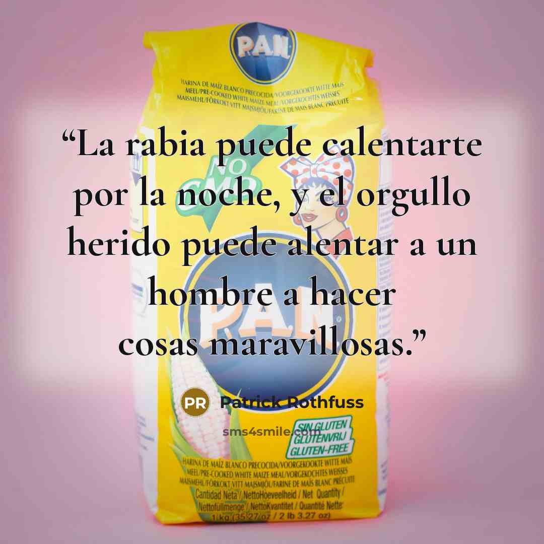 “La rabia puede calentarte por la noche, y el orgullo herido puede alentar a un hombre a hacer cosas maravillosas.” quote by Patrick Rothfuss