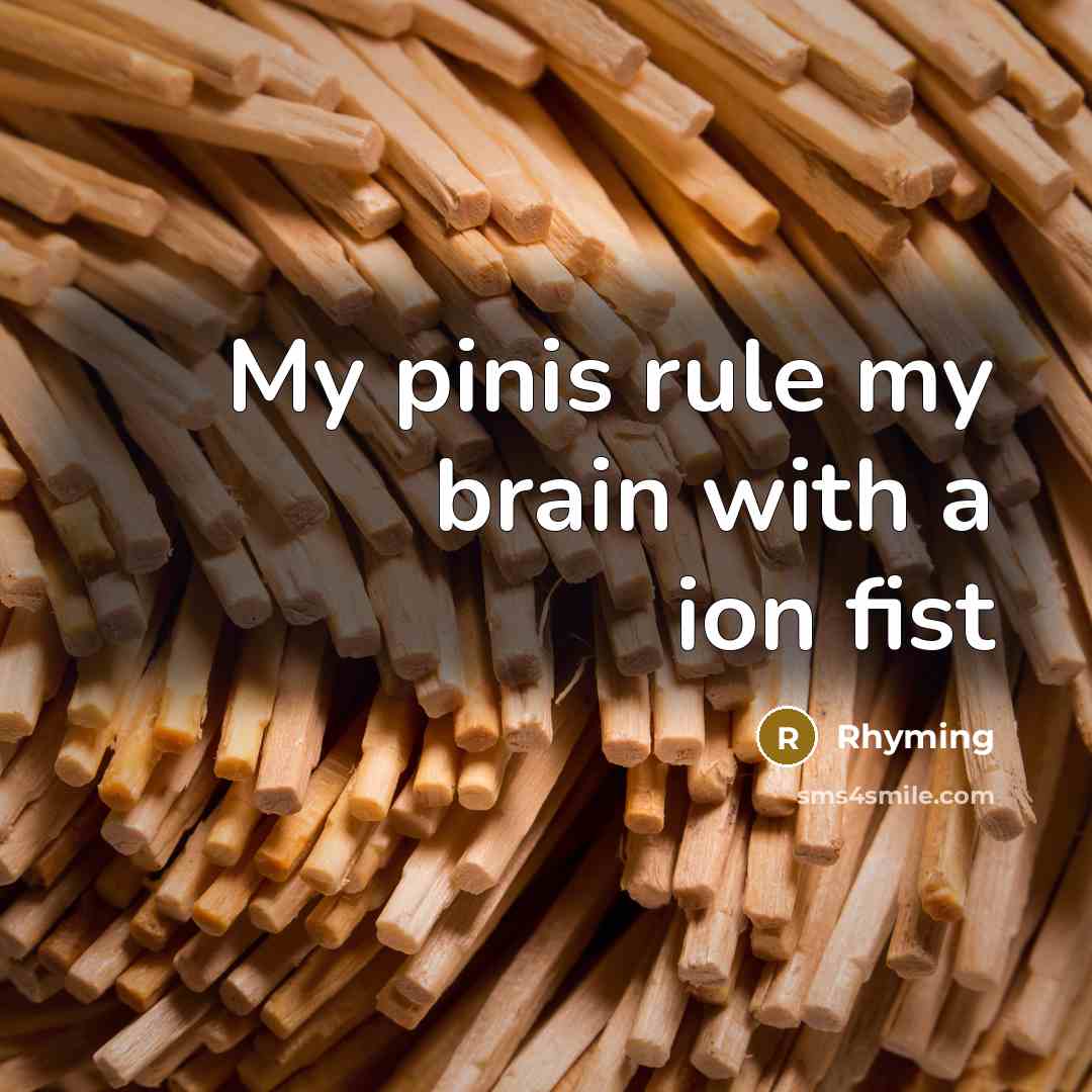 “My pinis rule my brain with a ion fist” quote by Rhyming