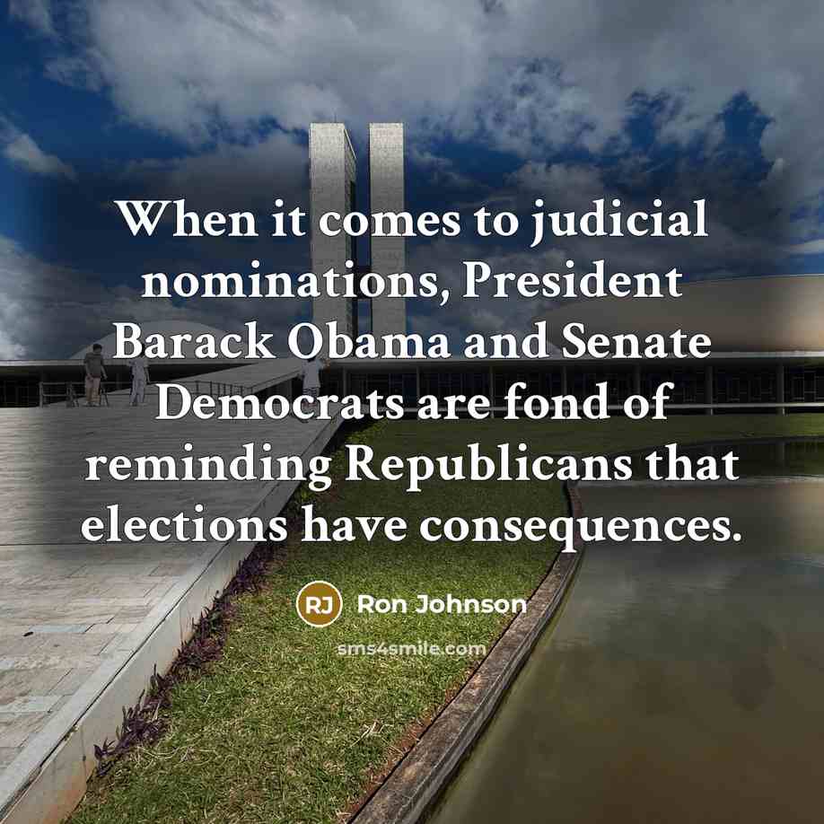 “When it comes to judicial nominations, President Barack Obama and…” quote by Ron Johnson
