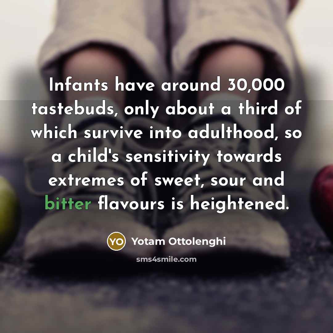 “Infants have around 30,000 tastebuds, only about a third of…” quote by Yotam Ottolenghi