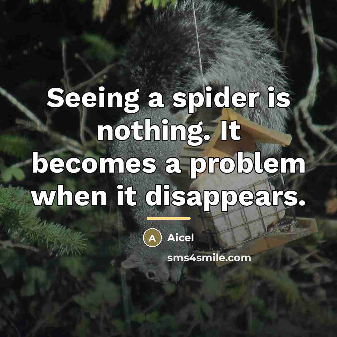 “Seeing a spider is nothing. It becomes a problem when…” quote by Aicel