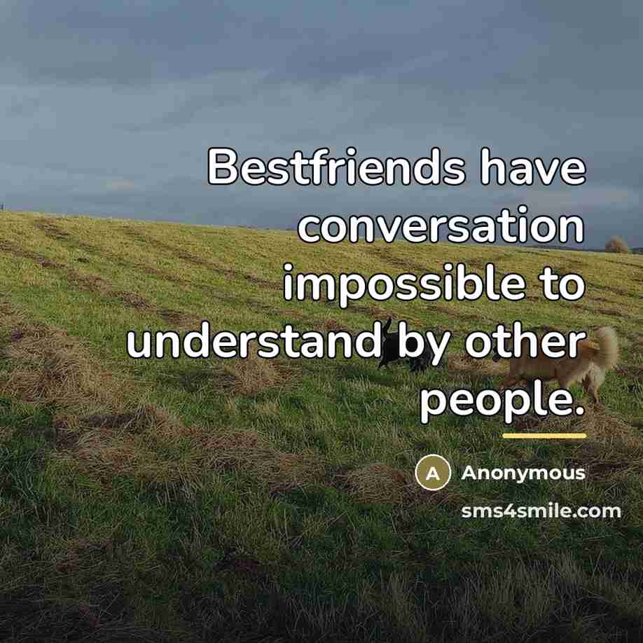 “Bestfriends have conversation impossible to understand by other people.…” quote by Anonymous