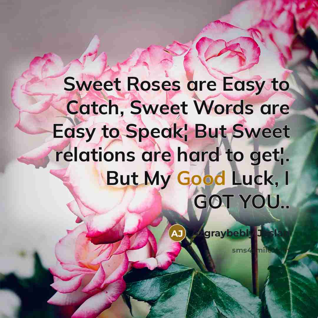“Sweet Roses are Easy to Catch, Sweet Words are Easy…” quote by Azgraybebly Joslan