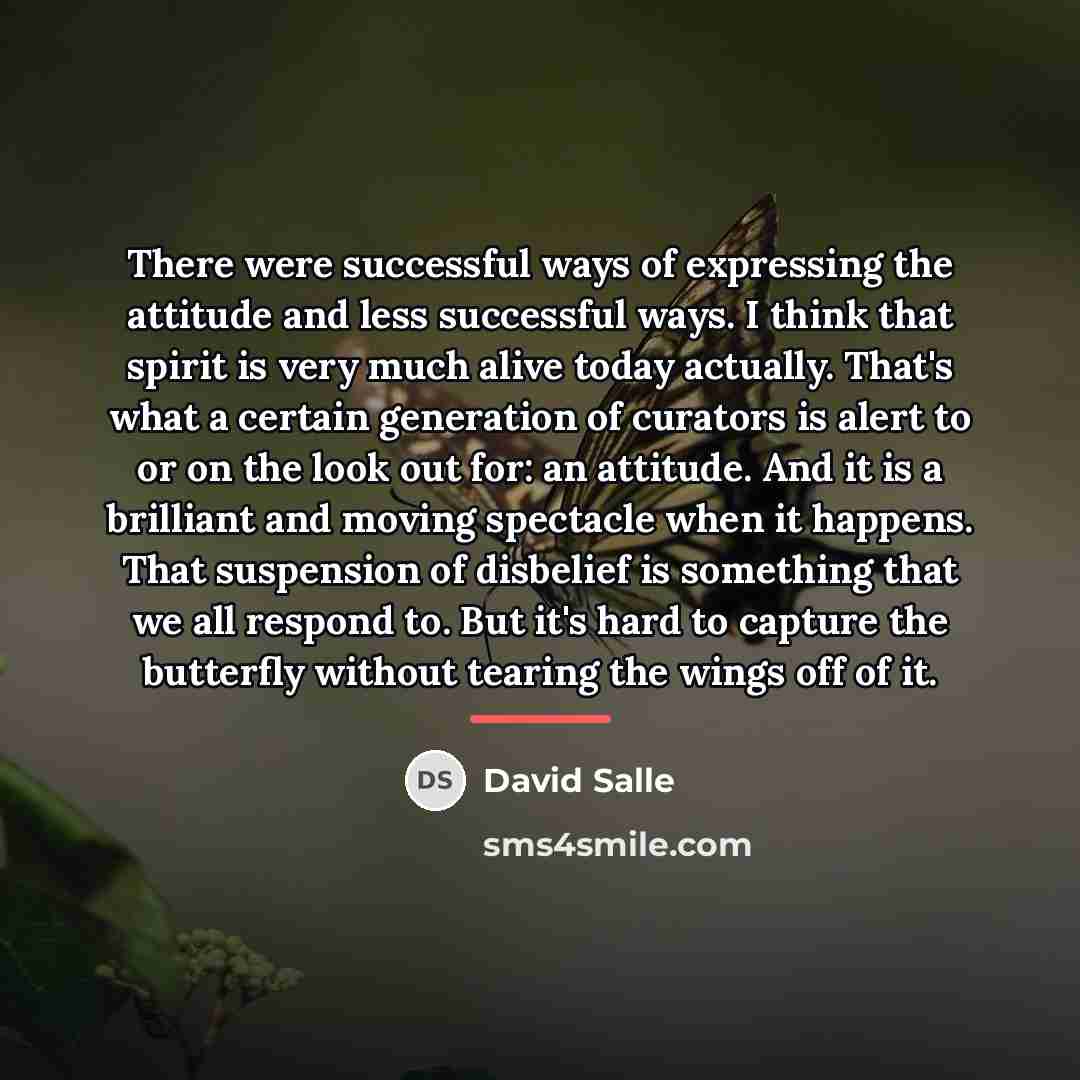 “There were successful ways of expressing the attitude and less…” quote by David Salle