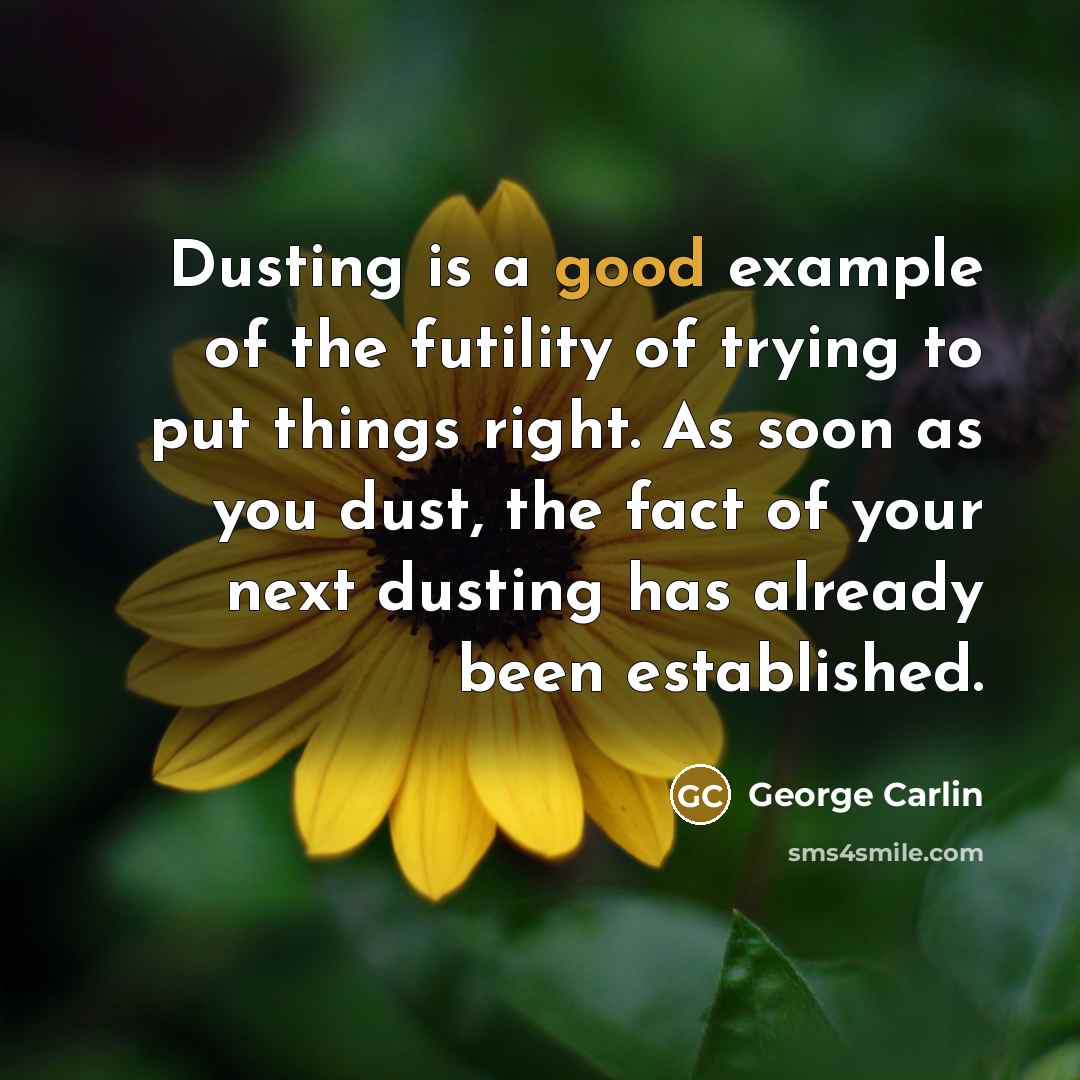 “Dusting is a good example of the futility of trying…” quote by George Carlin