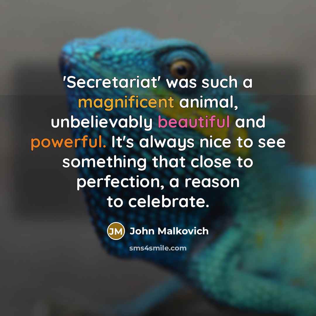 “'Secretariat' was such a magnificent animal, unbelievably beautiful and powerful.…” quote by John Malkovich