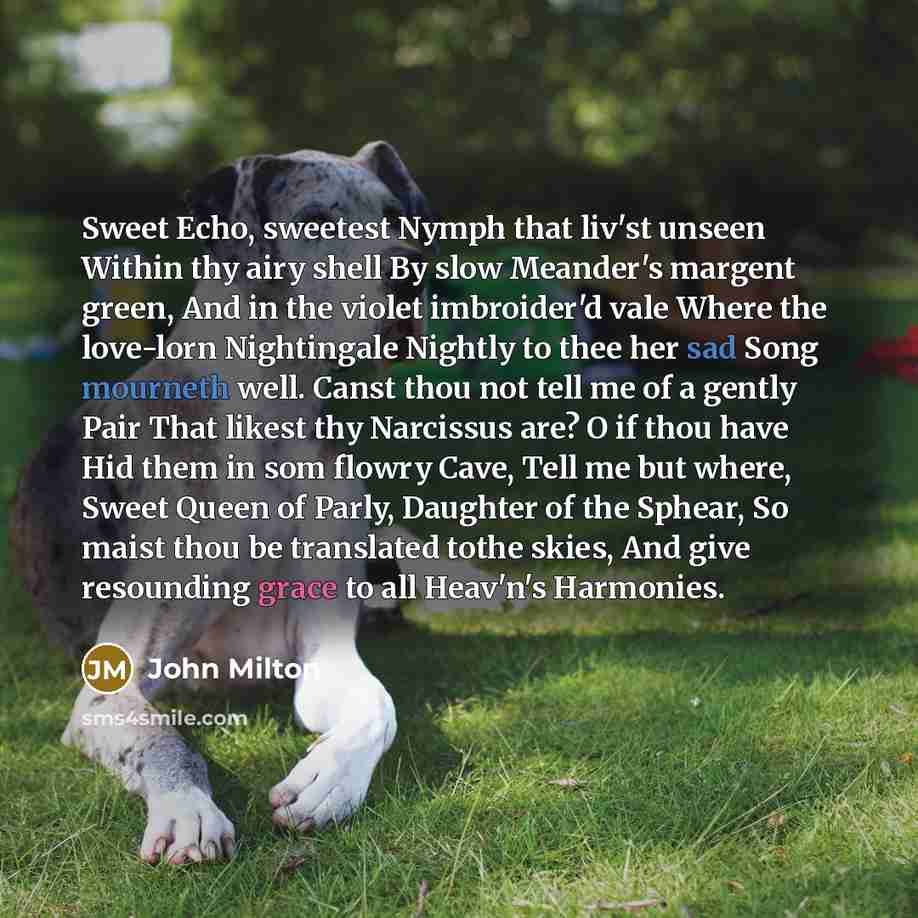 “Sweet Echo, sweetest Nymph that liv'st unseen Within thy airy…” quote by John Milton