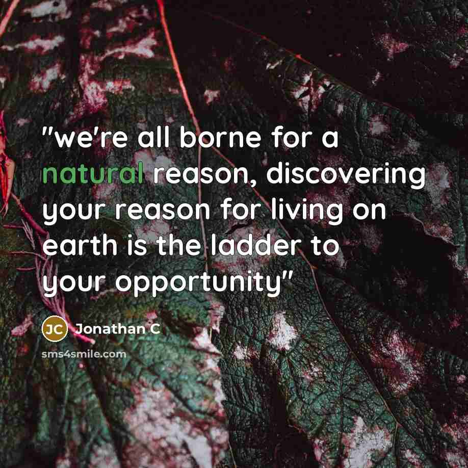 “''we're all borne for a natural reason, discovering your reason for living on earth is the ladder to your opportunity''” quote by Jonathan C