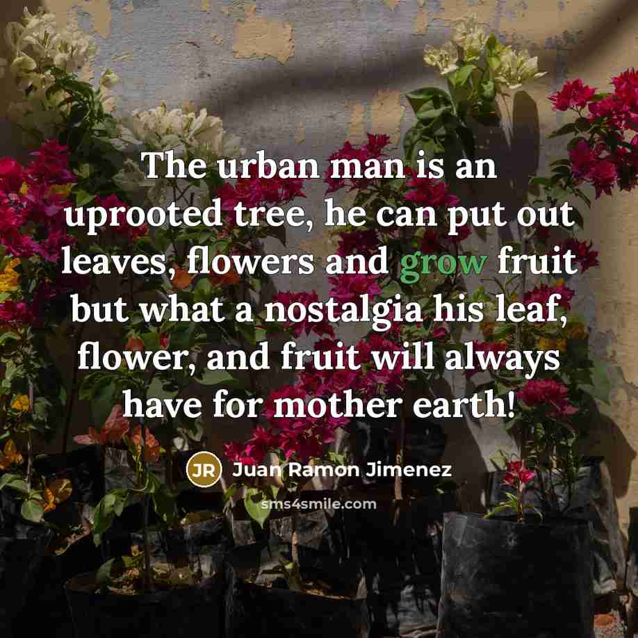 “The urban man is an uprooted tree, he can put…” quote by Juan Ramon Jimenez