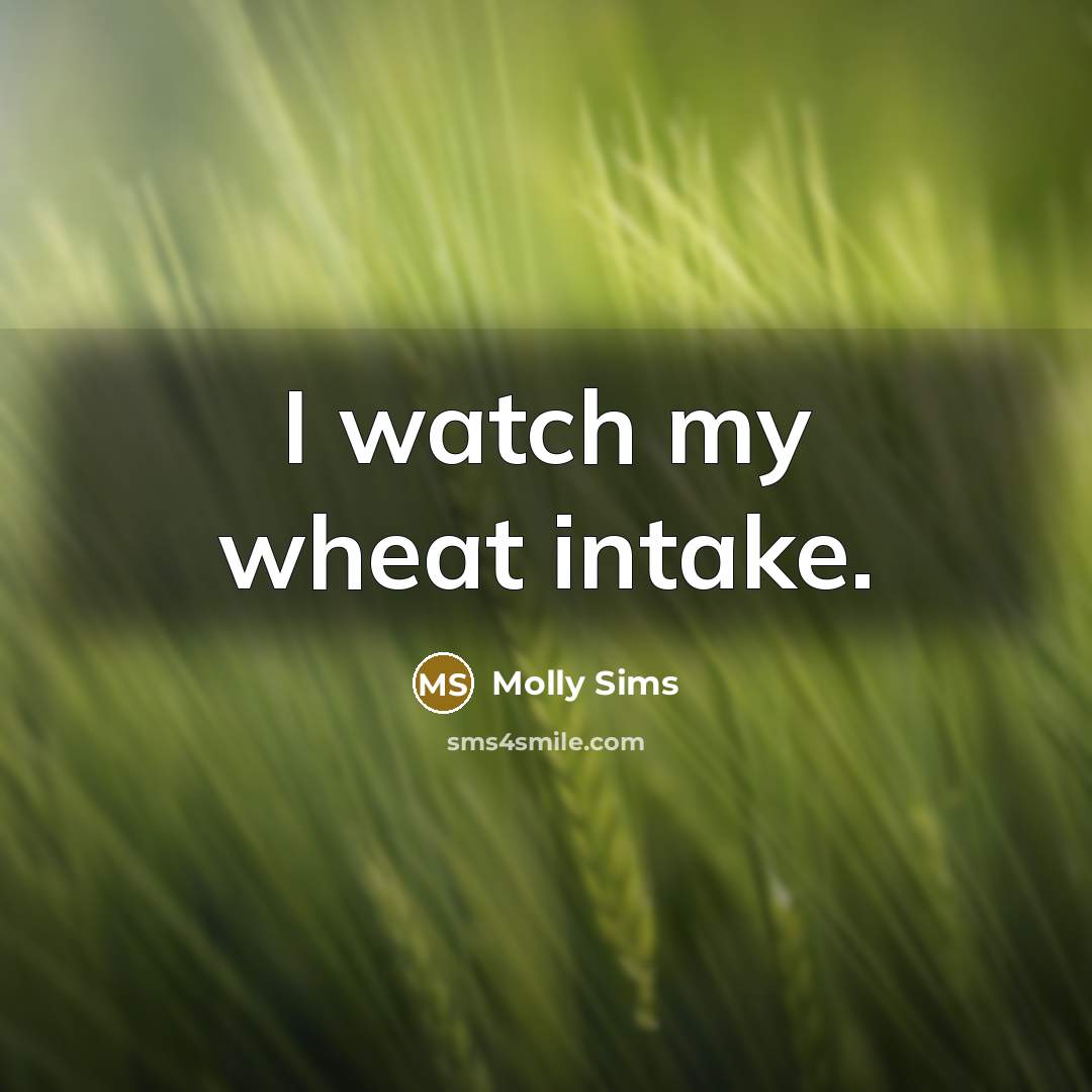 “I watch my wheat intake.…” quote by Molly Sims