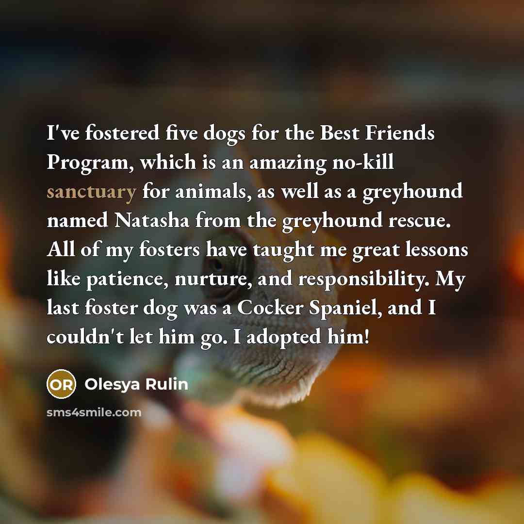 “I've fostered five dogs for the Best Friends Program, which…” quote by Olesya Rulin
