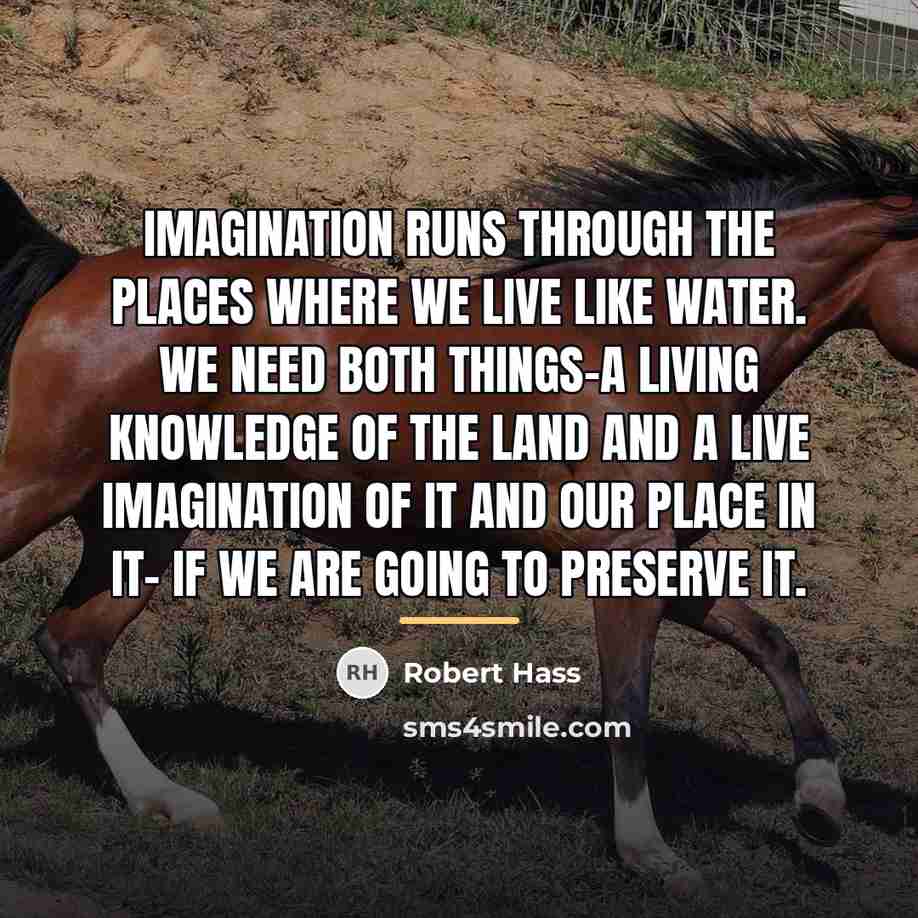“Imagination runs through the places where we live like water.…” quote by Robert Hass