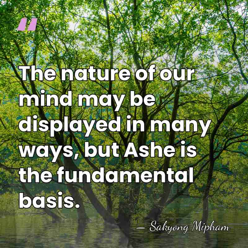 The nature of our mind may be displayed in many ways, but&hellip; - Sakyong Mipham
