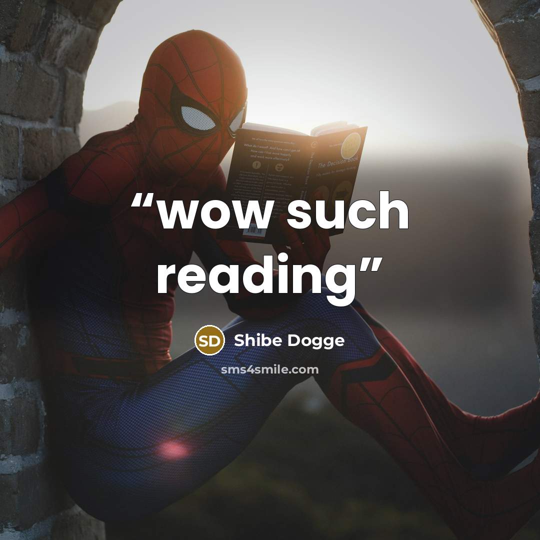“wow such reading” quote by Shibe Dogge