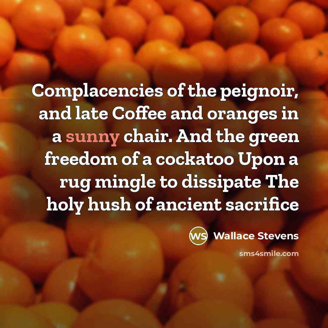 “Complacencies of the peignoir, and late Coffee and oranges in…” quote by Wallace Stevens