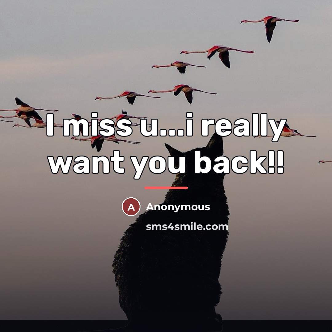 “I miss u...i really want you back!!…” quote by Anonymous