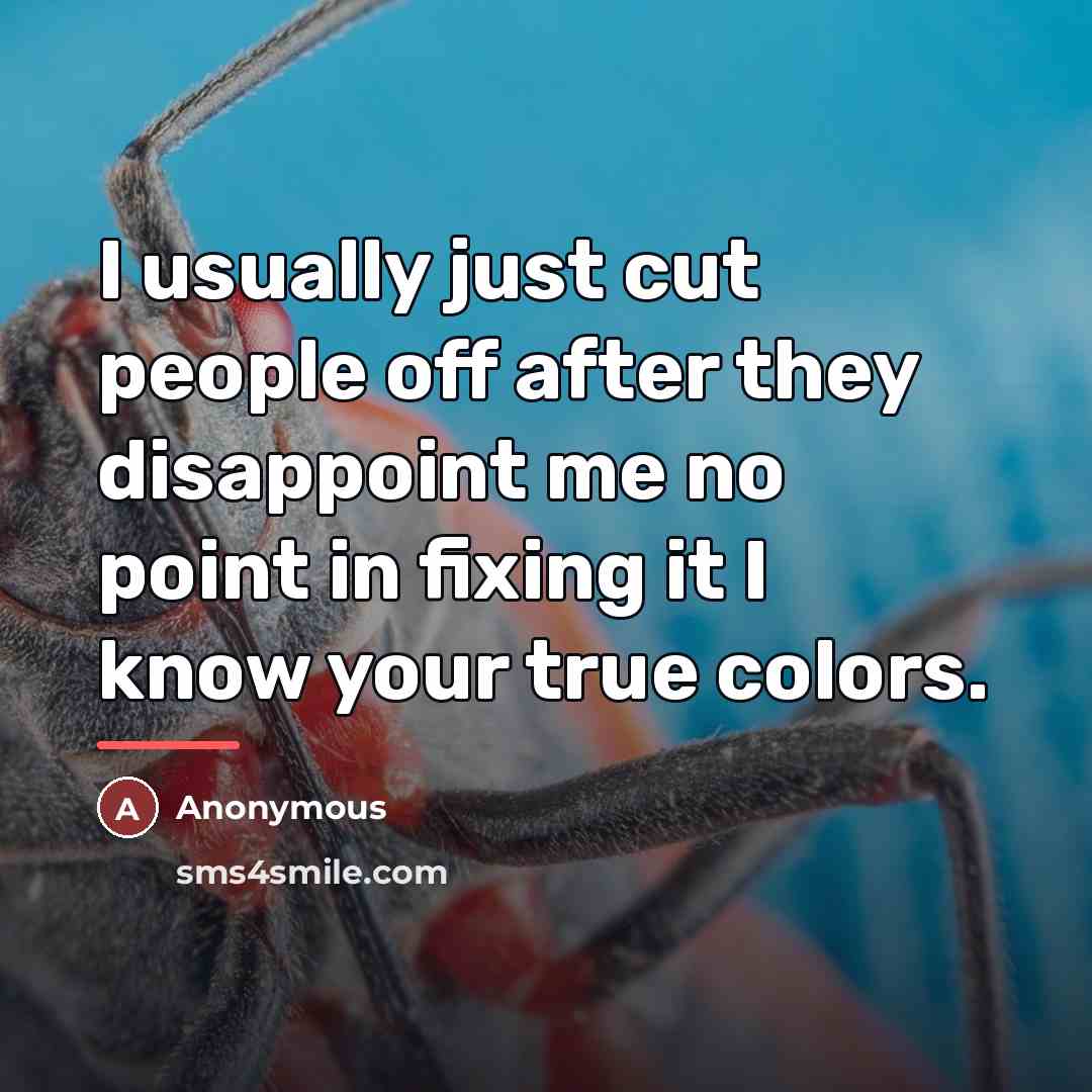 “I usually just cut people off after they disappoint me…” quote by Anonymous
