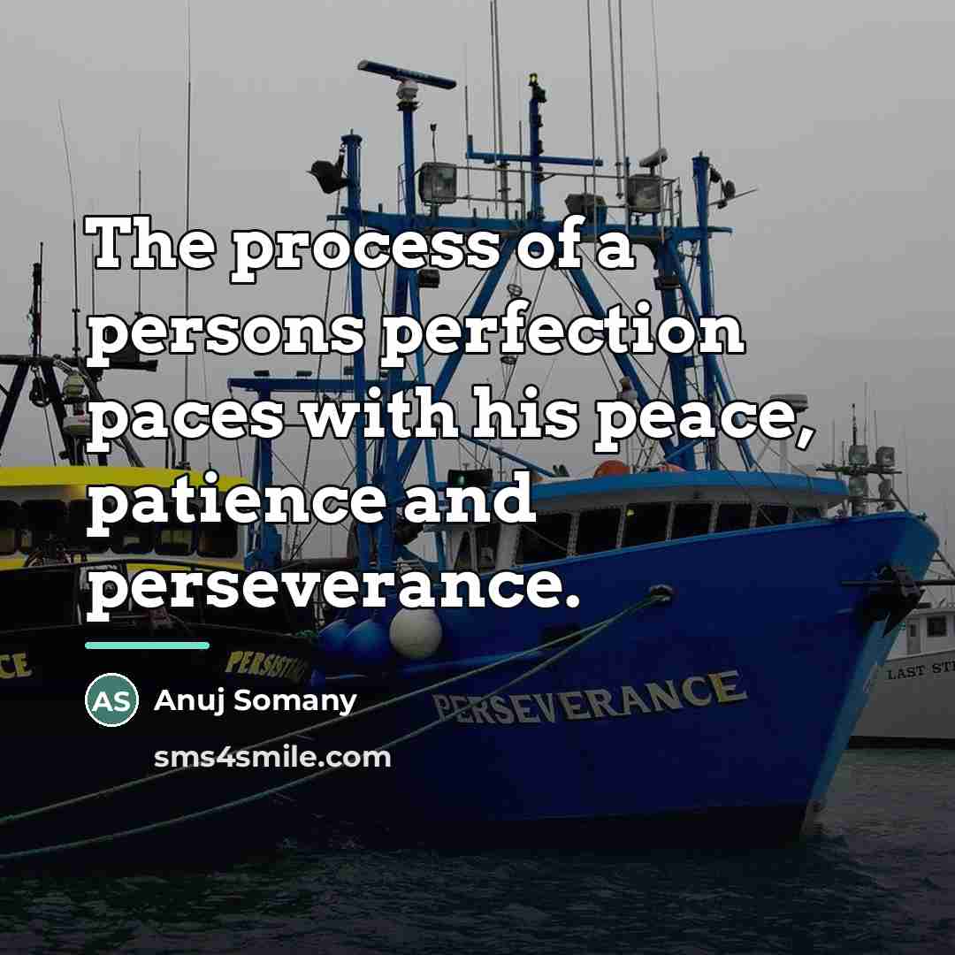 “The process of a persons perfection paces with his peace,…” quote by Anuj Somany
