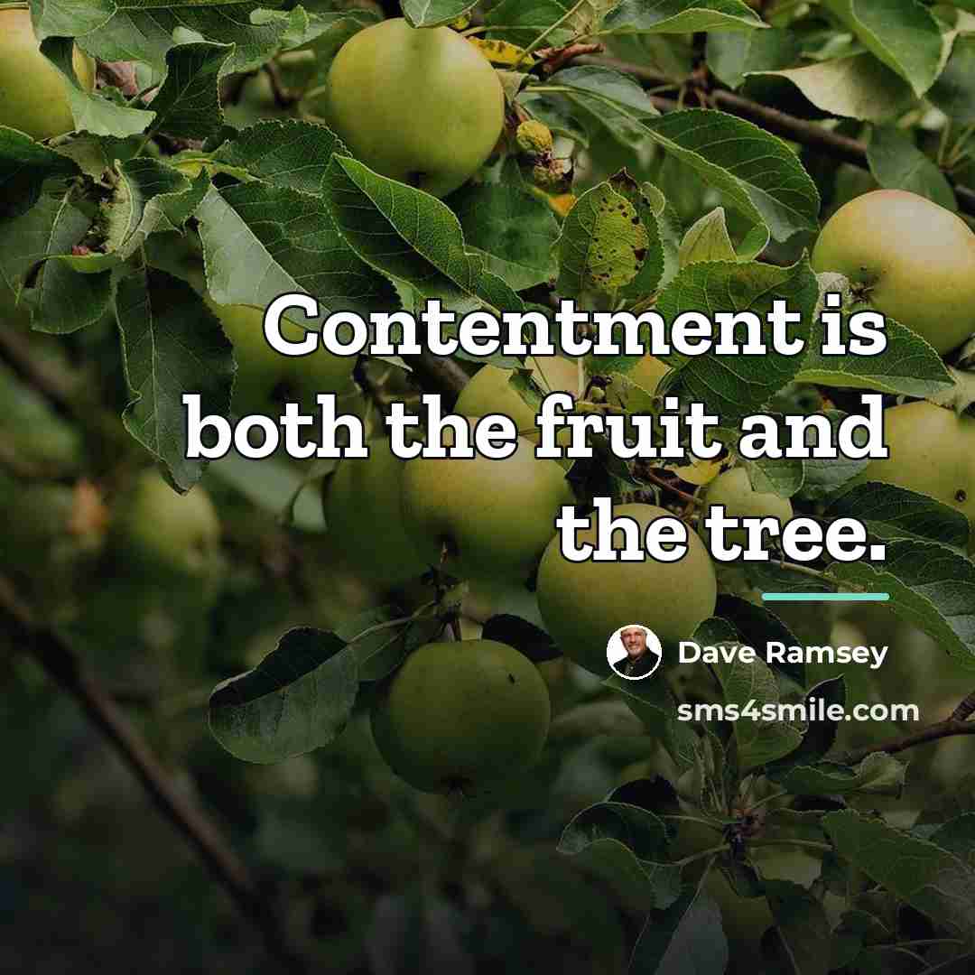 “Contentment is both the fruit and the tree.…” quote by Dave Ramsey