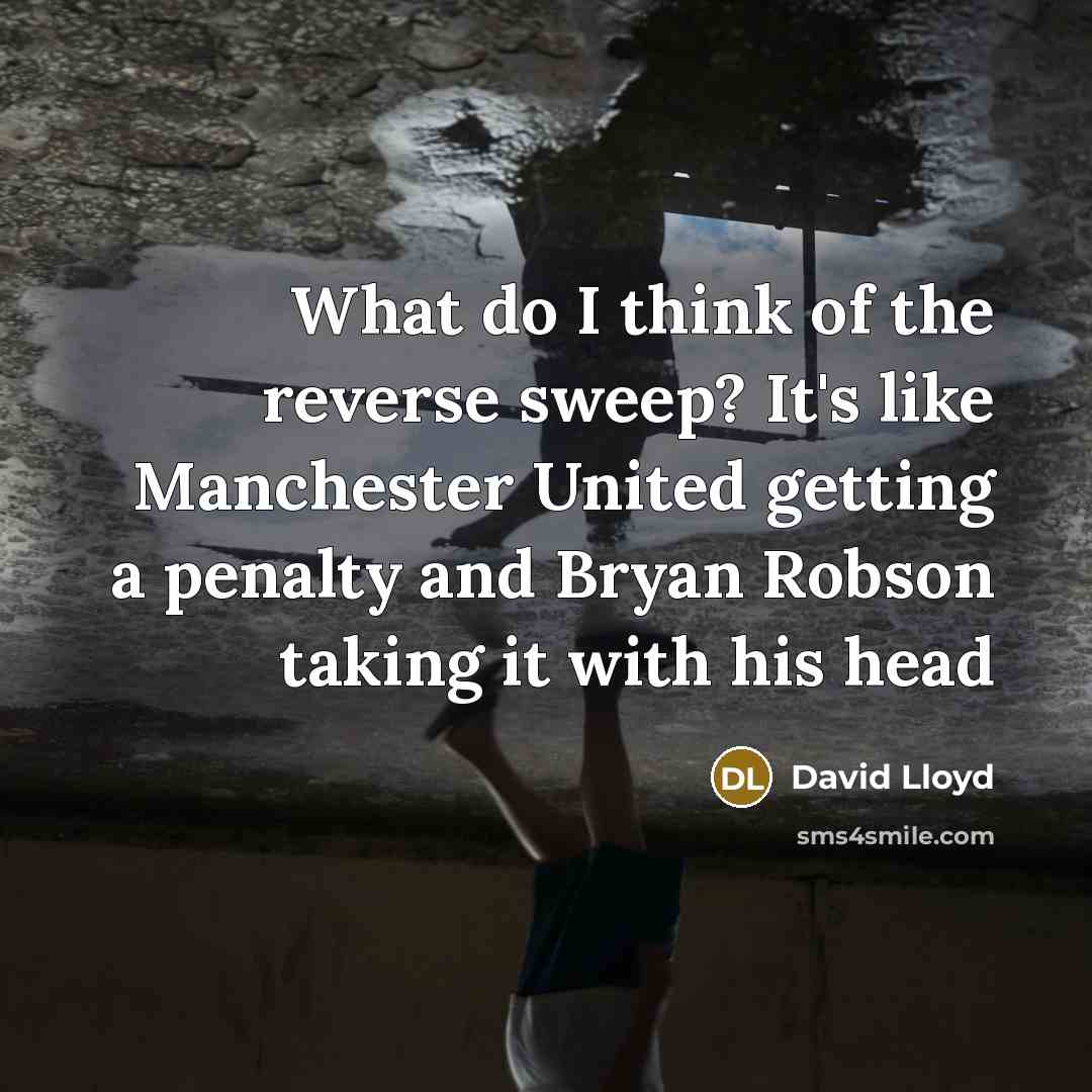 “What do I think of the reverse sweep? It's like…” quote by David Lloyd